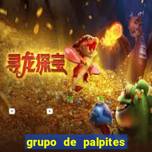 grupo de palpites de futebol whatsapp